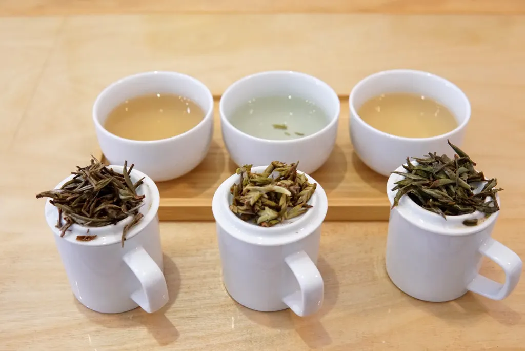 Himalayan tea garden